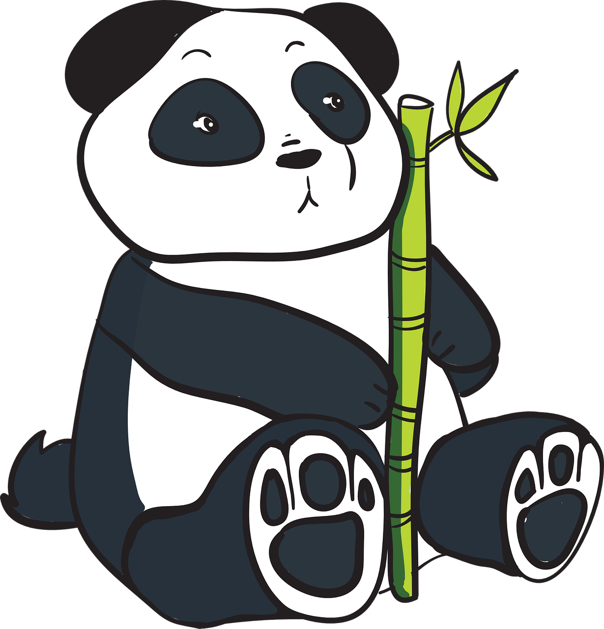 Panda China Bear