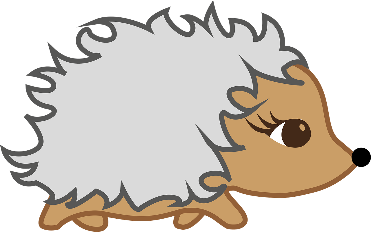 Hedgehog Fall Hibernation