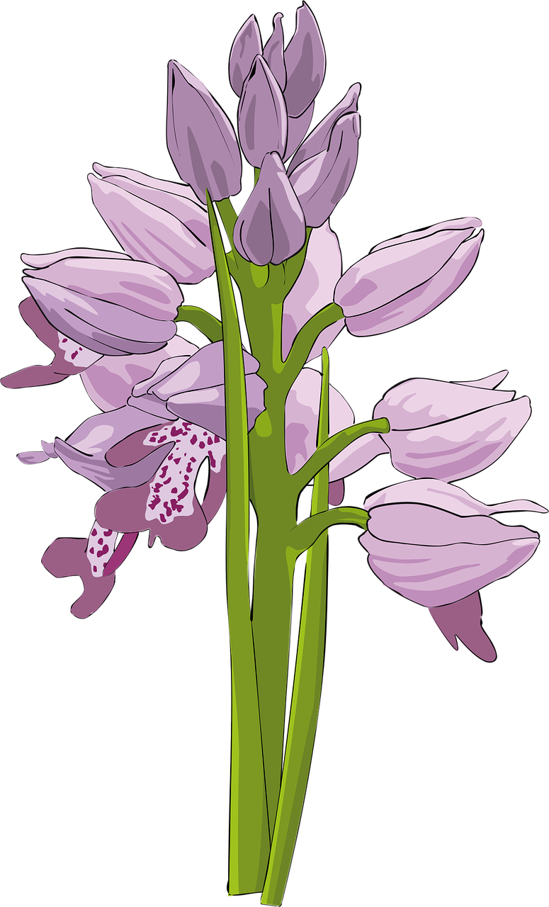 Cluster Beautiful flowers Flower Stickdatei