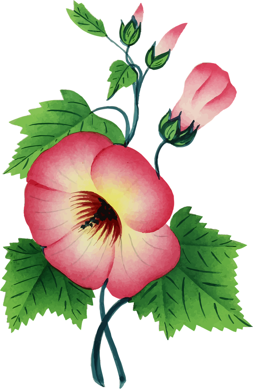 Colorful Floral Nature