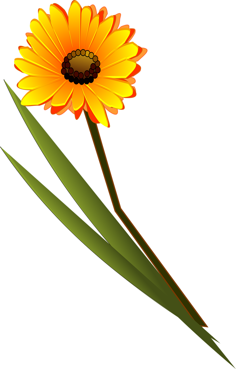 Flower Yellow Daisy Stickdatei – Blumen