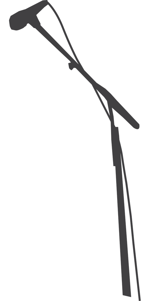 Concert Mic Microphone