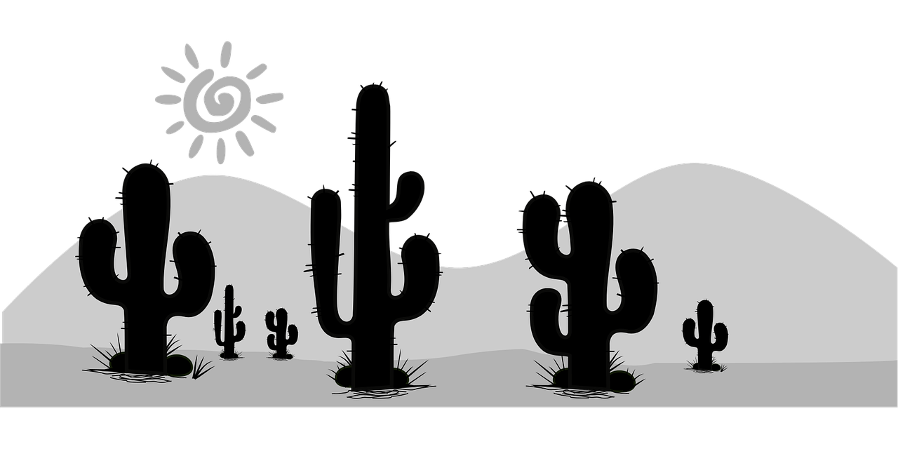 Cacti Desert Death valley Stickdatei