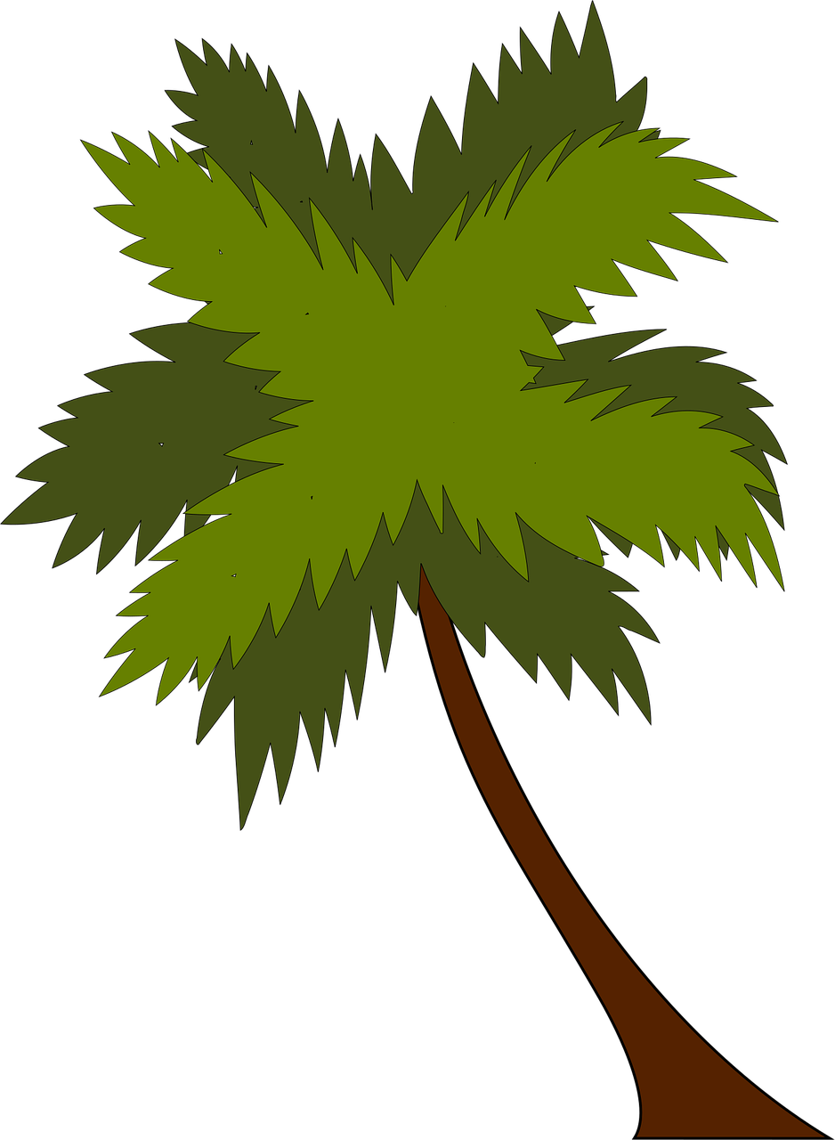 Palm tree Palm Tree Stickdatei – Natur