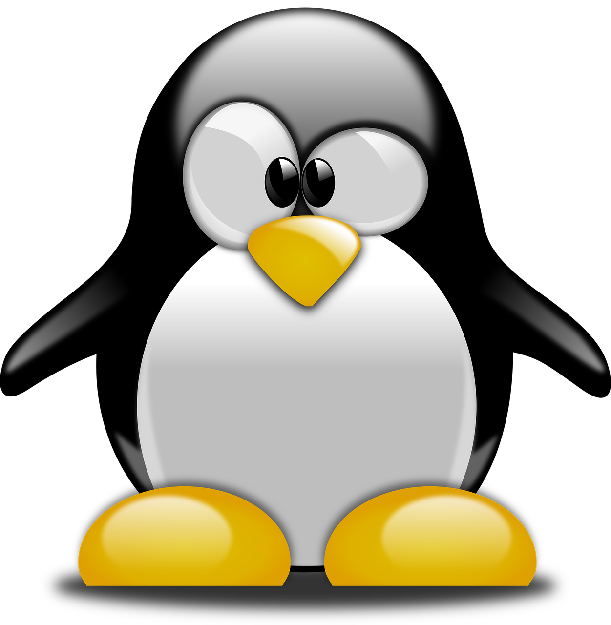 Penguin Confused Cartoon