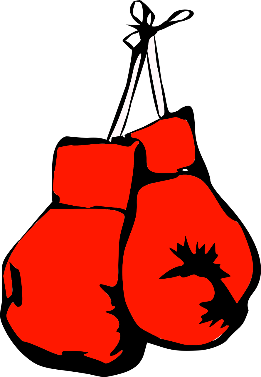 Boxing gloves Boxing Fight