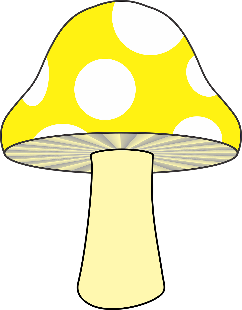 Mushroom Nature Yellow mushroom Stickdatei – Natur