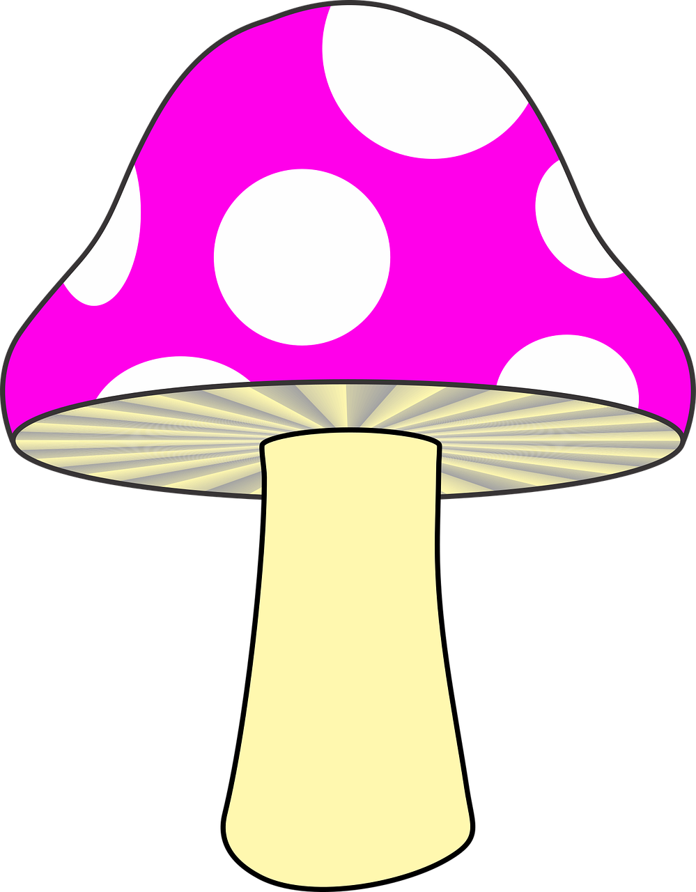 Mushroom Nature Pink mushroom
