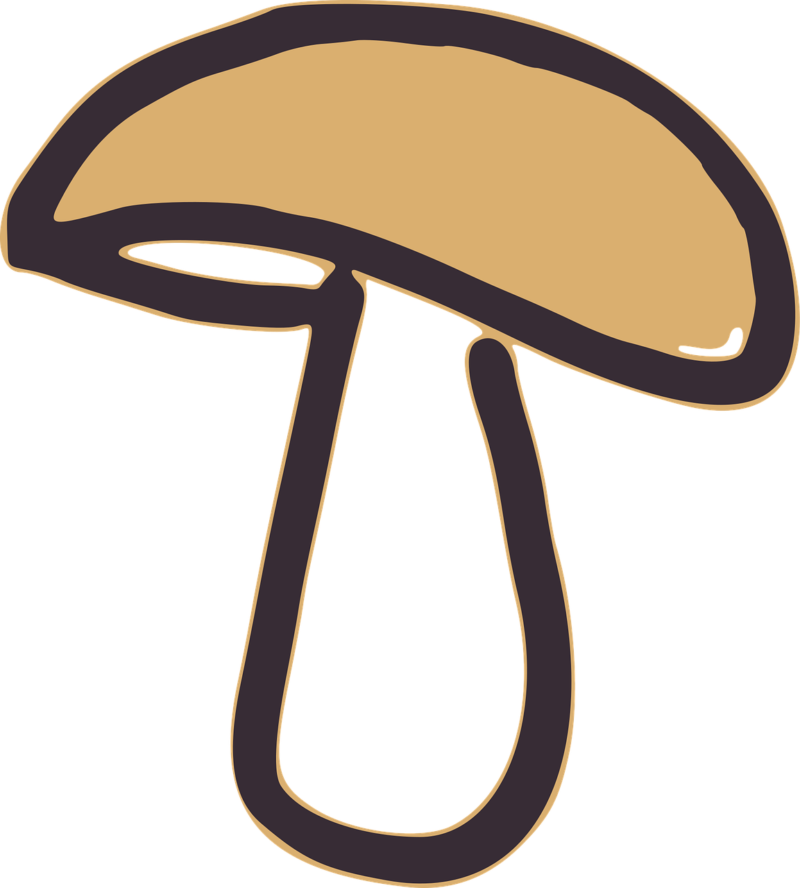 Mushroom Fungus Cap