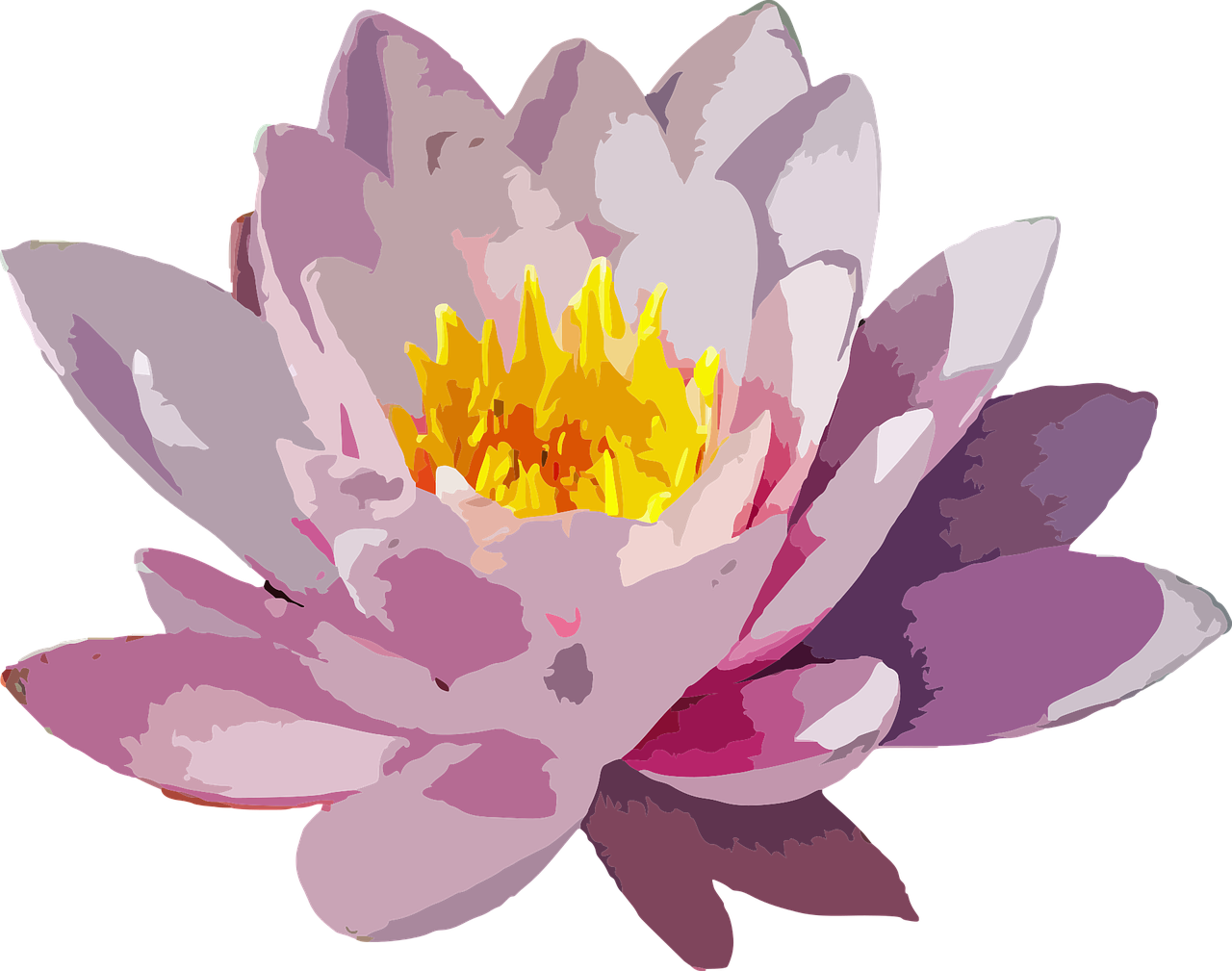 Flower Flower wallpaper Flower background