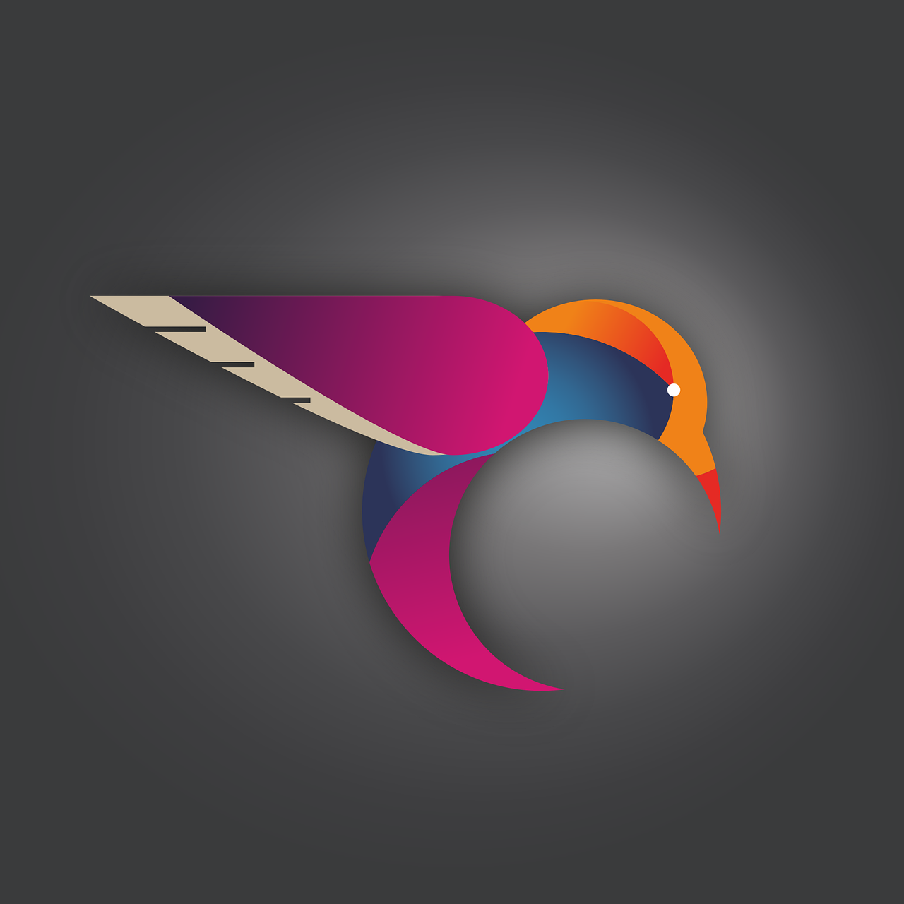 Humming-bird Bird Vector Stickdatei – Tiere