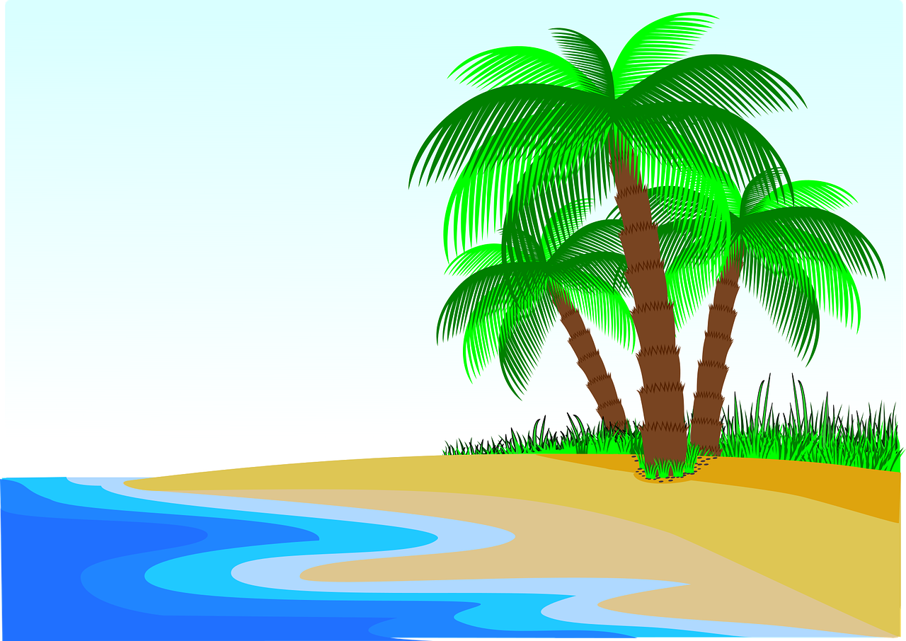 Palm trees Beach Coast Stickdatei
