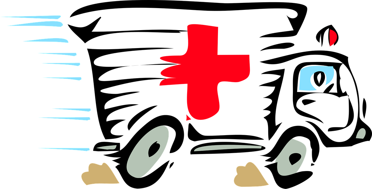 Ambulance Paramedic Red Stickdatei – Fahrzeuge