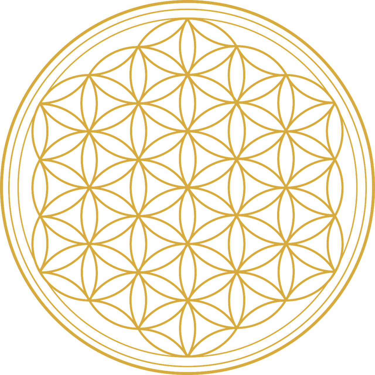 Flower of life Flower Flower wallpaper Stickdatei