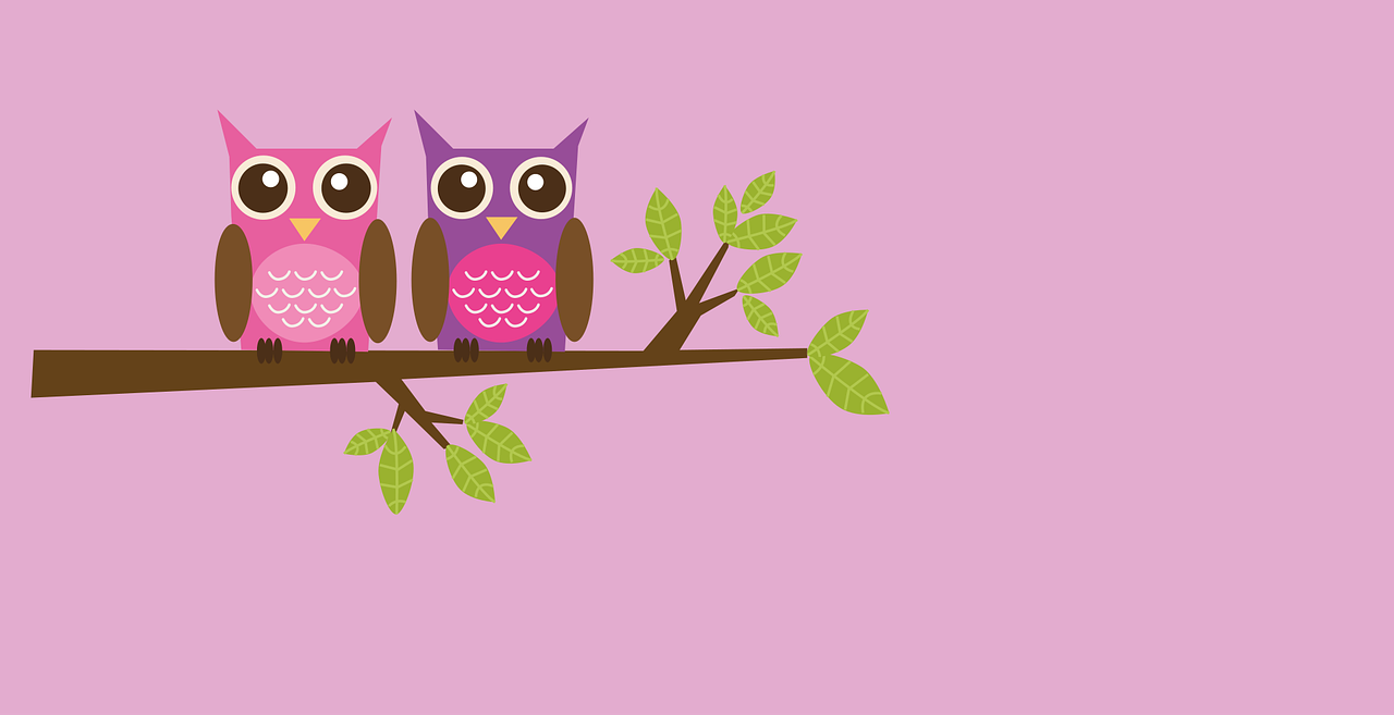 Owls Couple Love Stickdatei