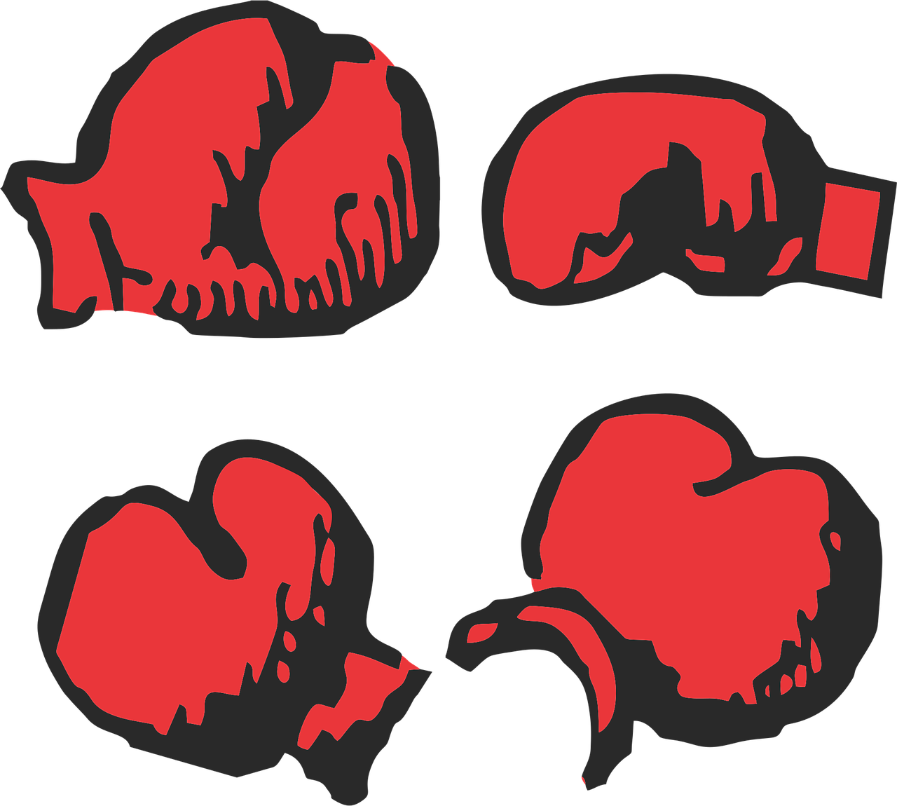 Boxing gloves Box Boxing