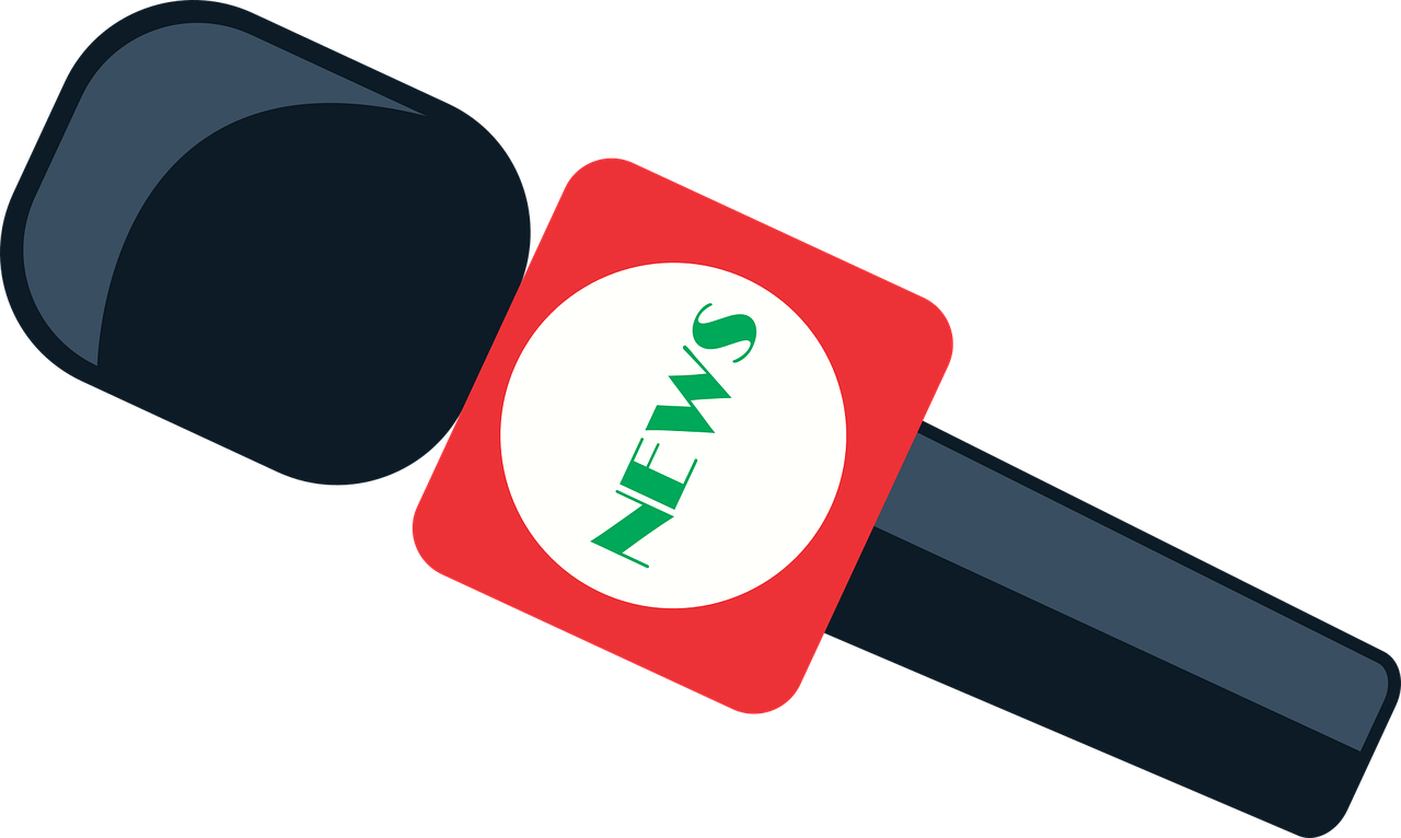 Handheld microphone Microphone Microphone wireless