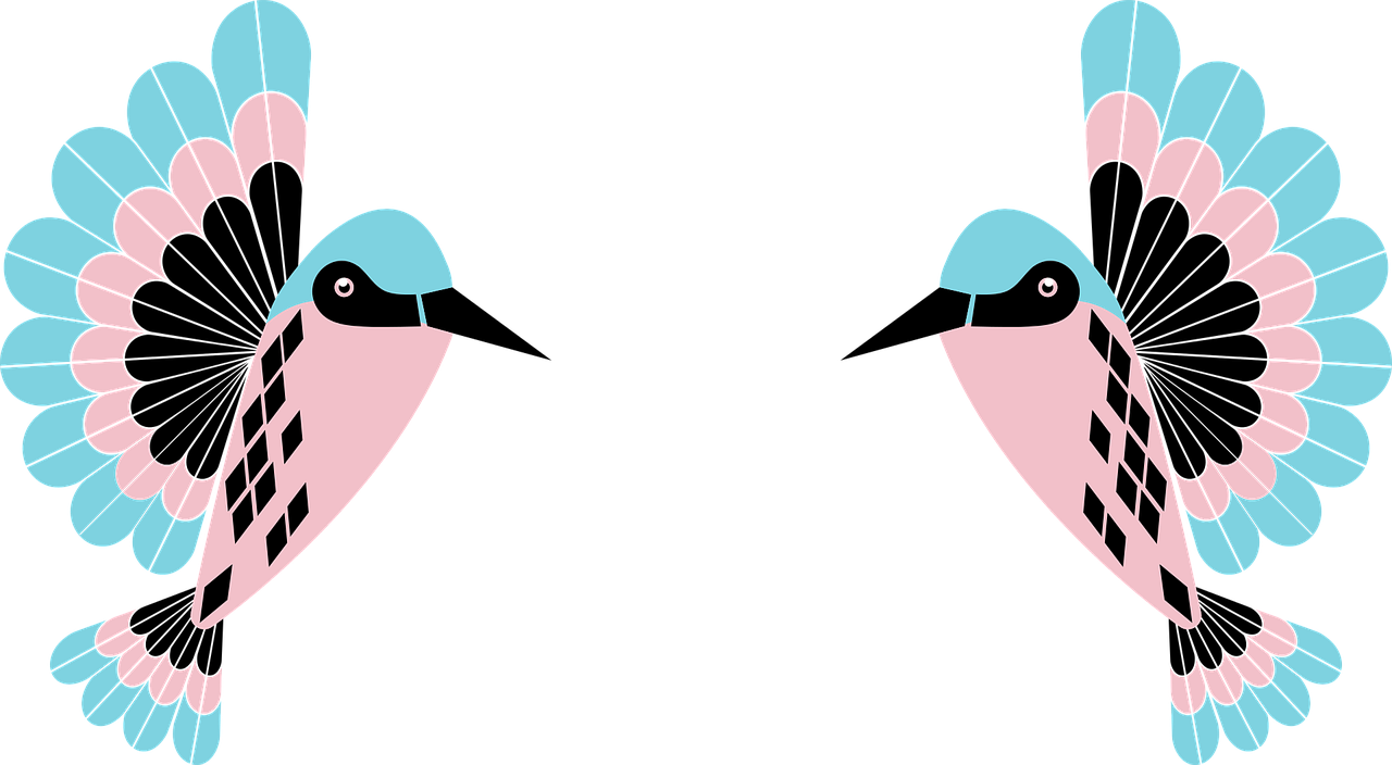 Hummingbird Birdie Birds