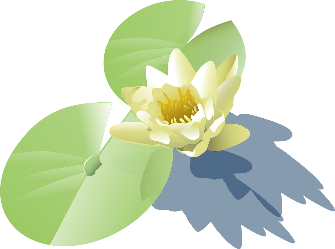 Lily Flower wallpaper Lotus Stickdatei