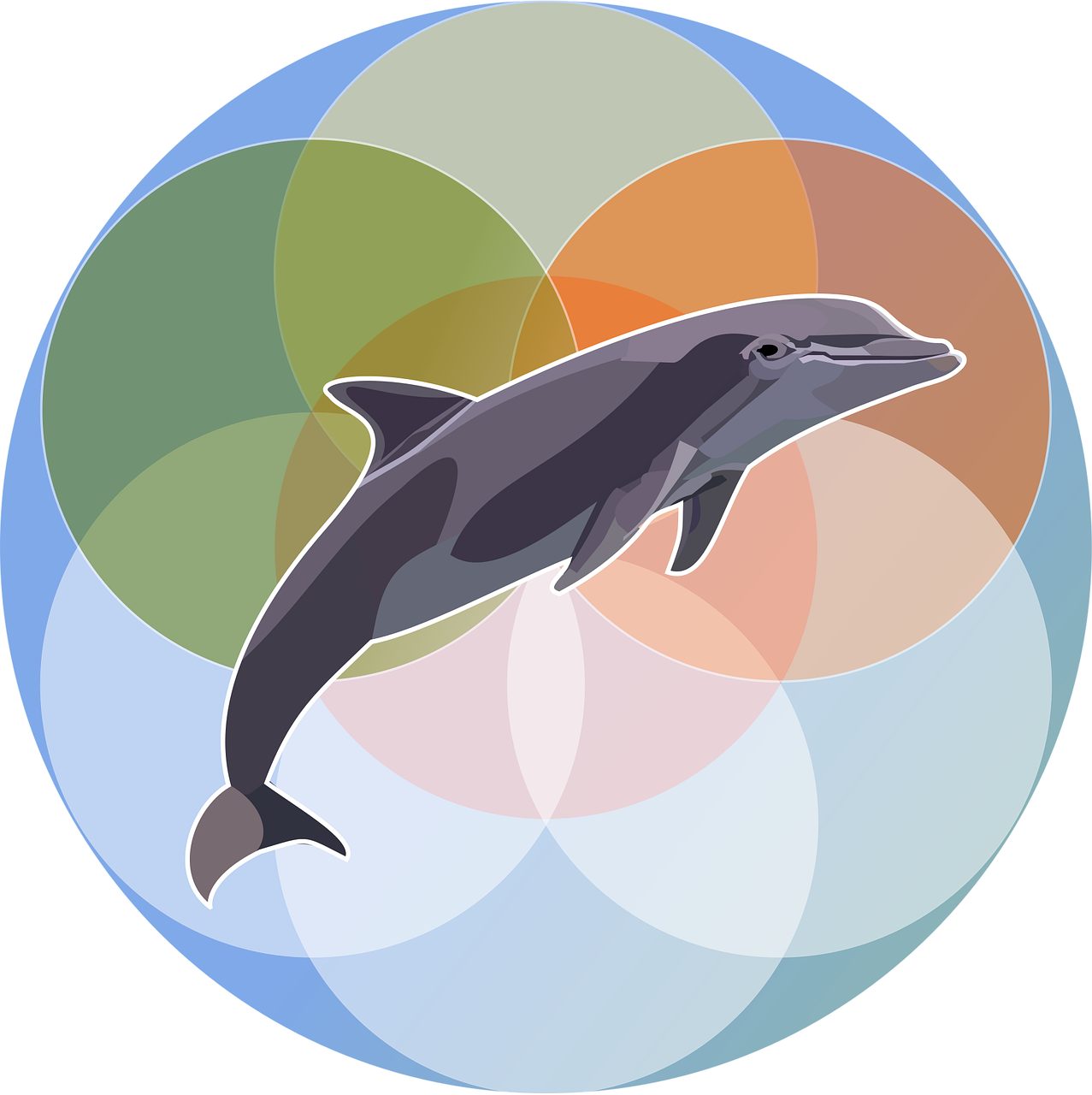 Marine mammal Dolphin Flower of life