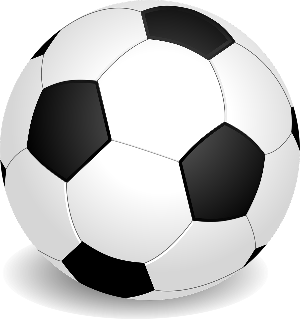 Soccer Ball Sport