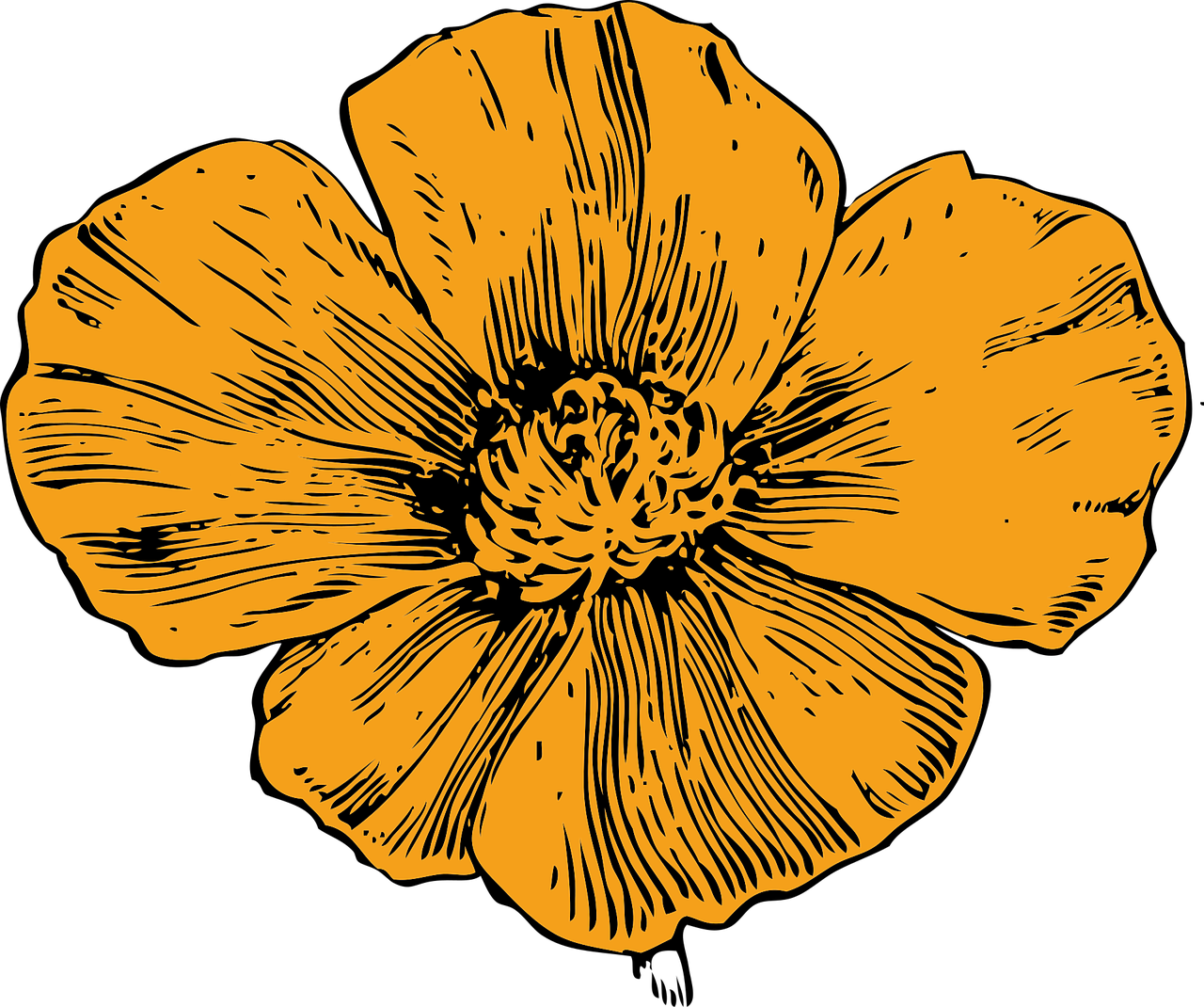 Yellow Flower Poppy Stickdatei – Blumen
