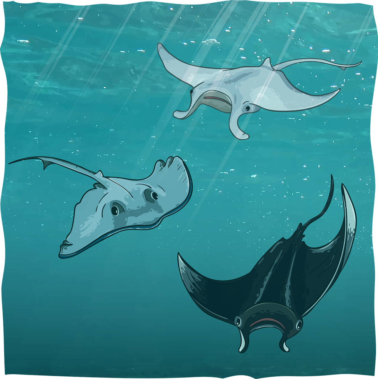 Stingrays Manta rays Underwater