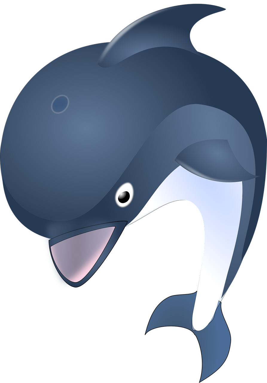 Dolphin Mammal Animal