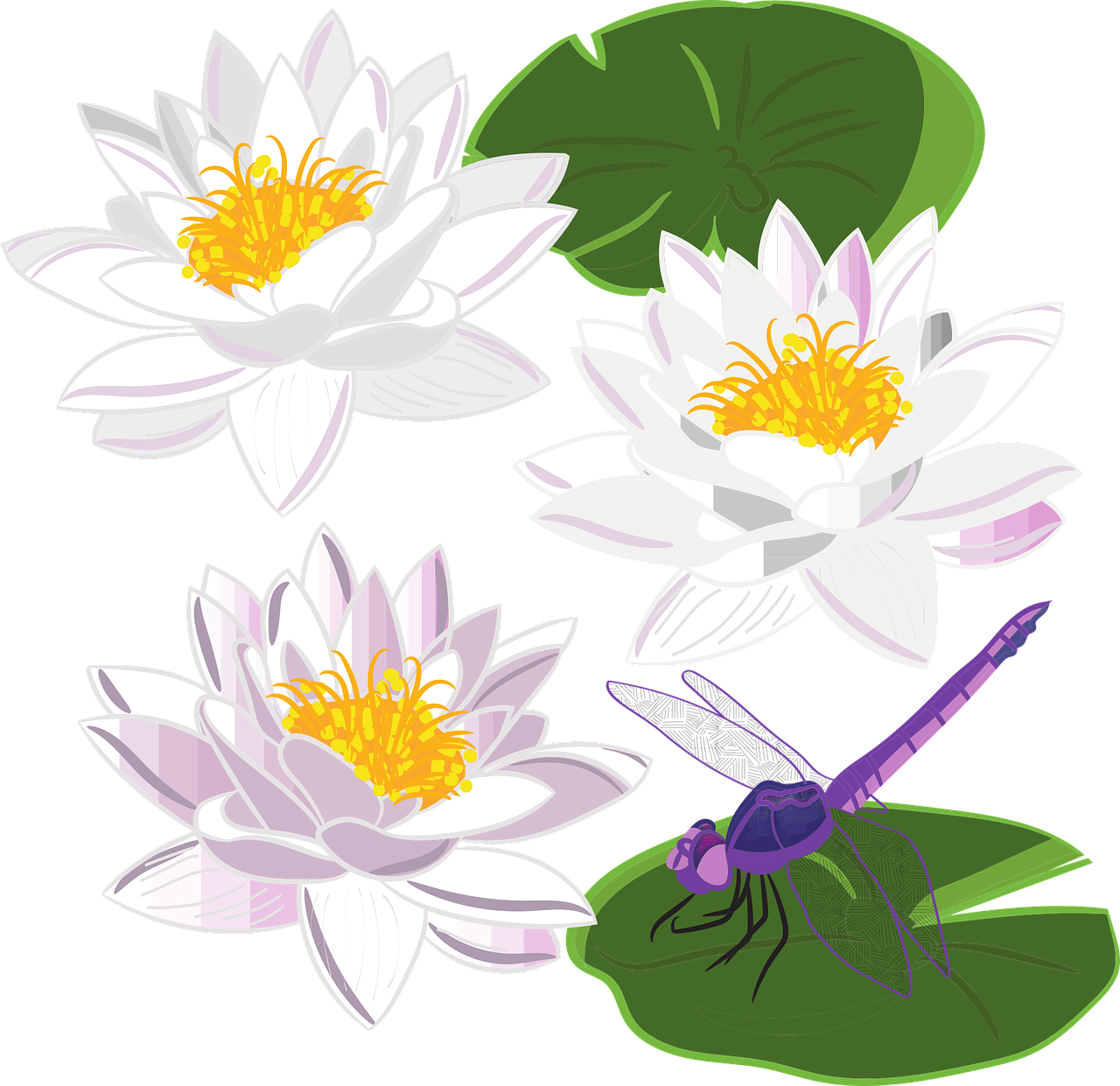 Water lily Lily Flower Stickdatei
