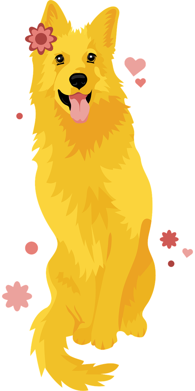 Dog German shepherd dog Pet