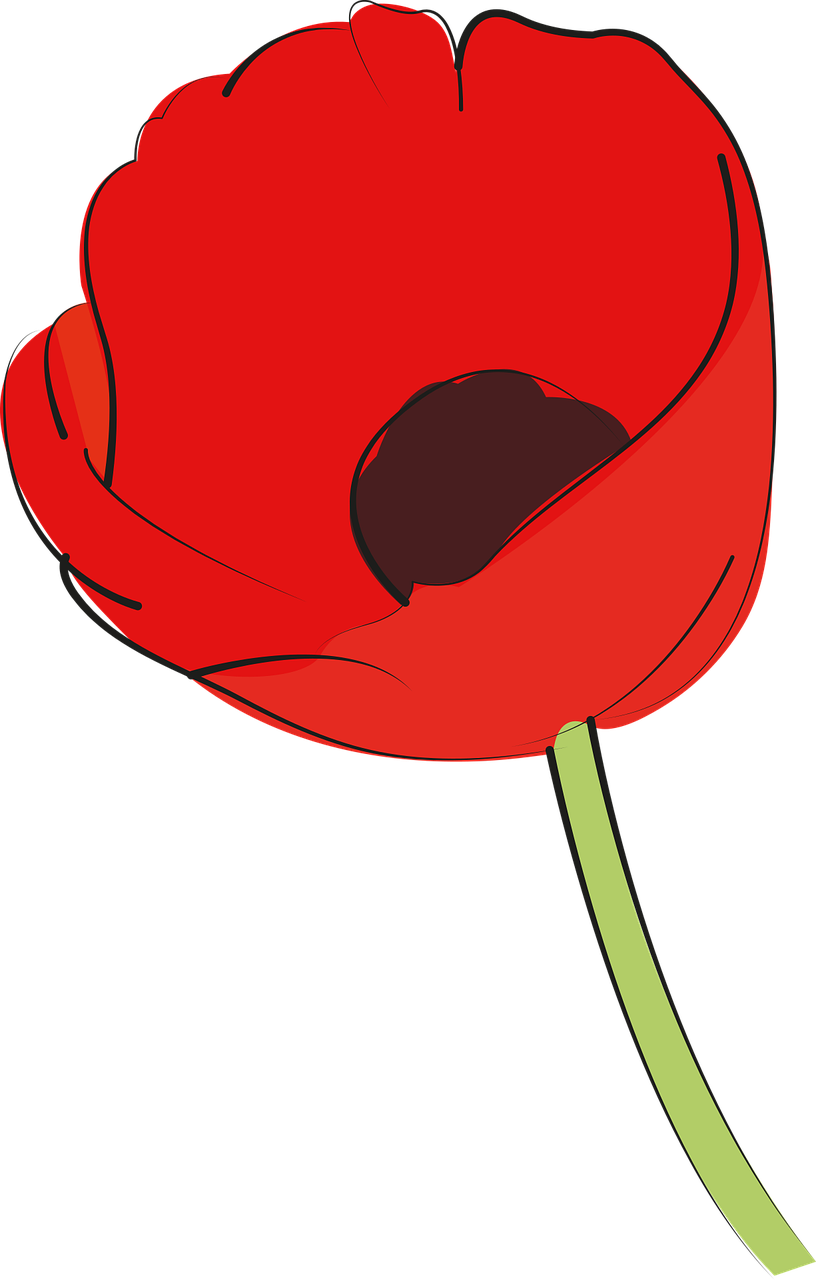 Poppy Poppies Field Stickdatei