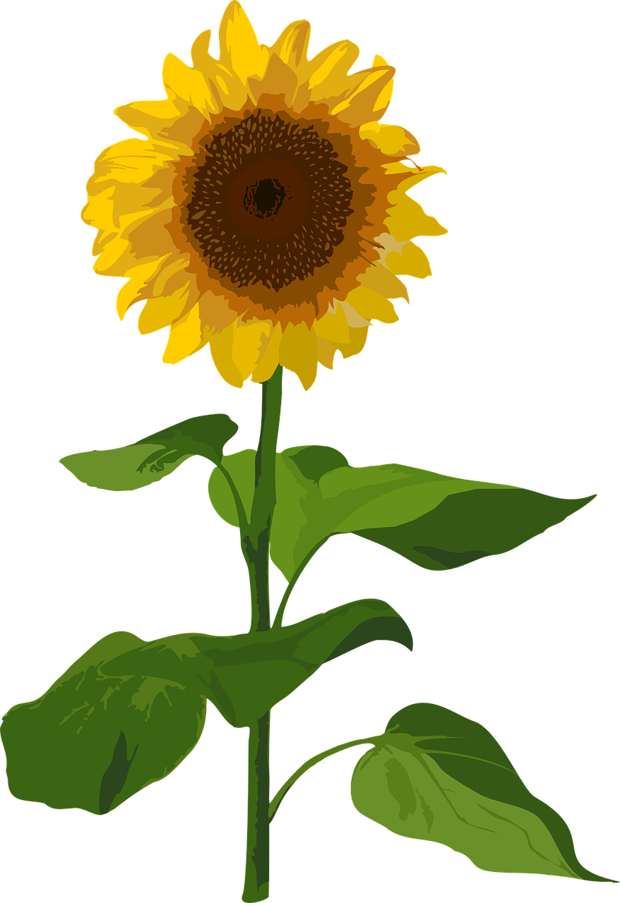 Sunflower Flower Summer Stickdatei – Blumen