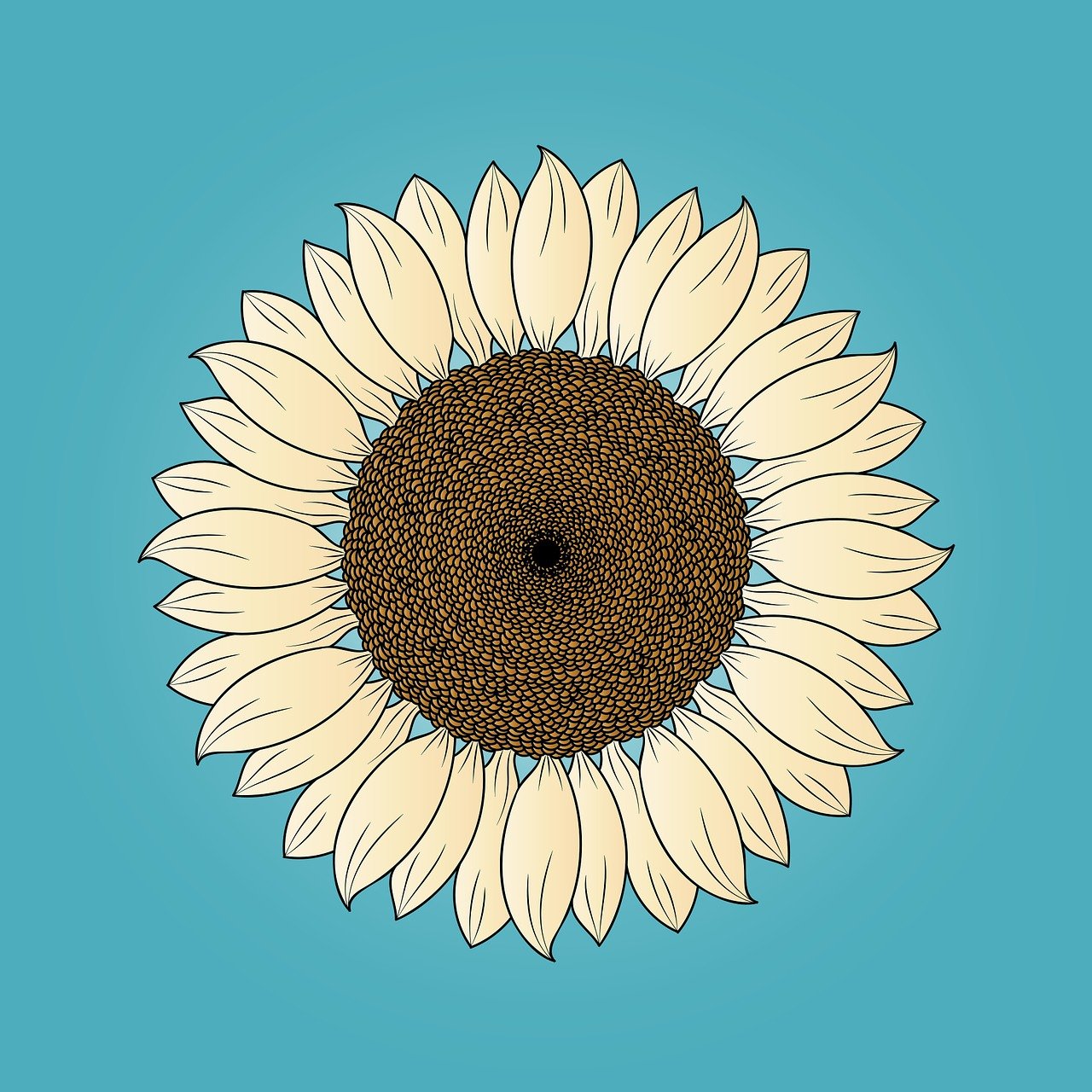 Flower Sunflower Nature