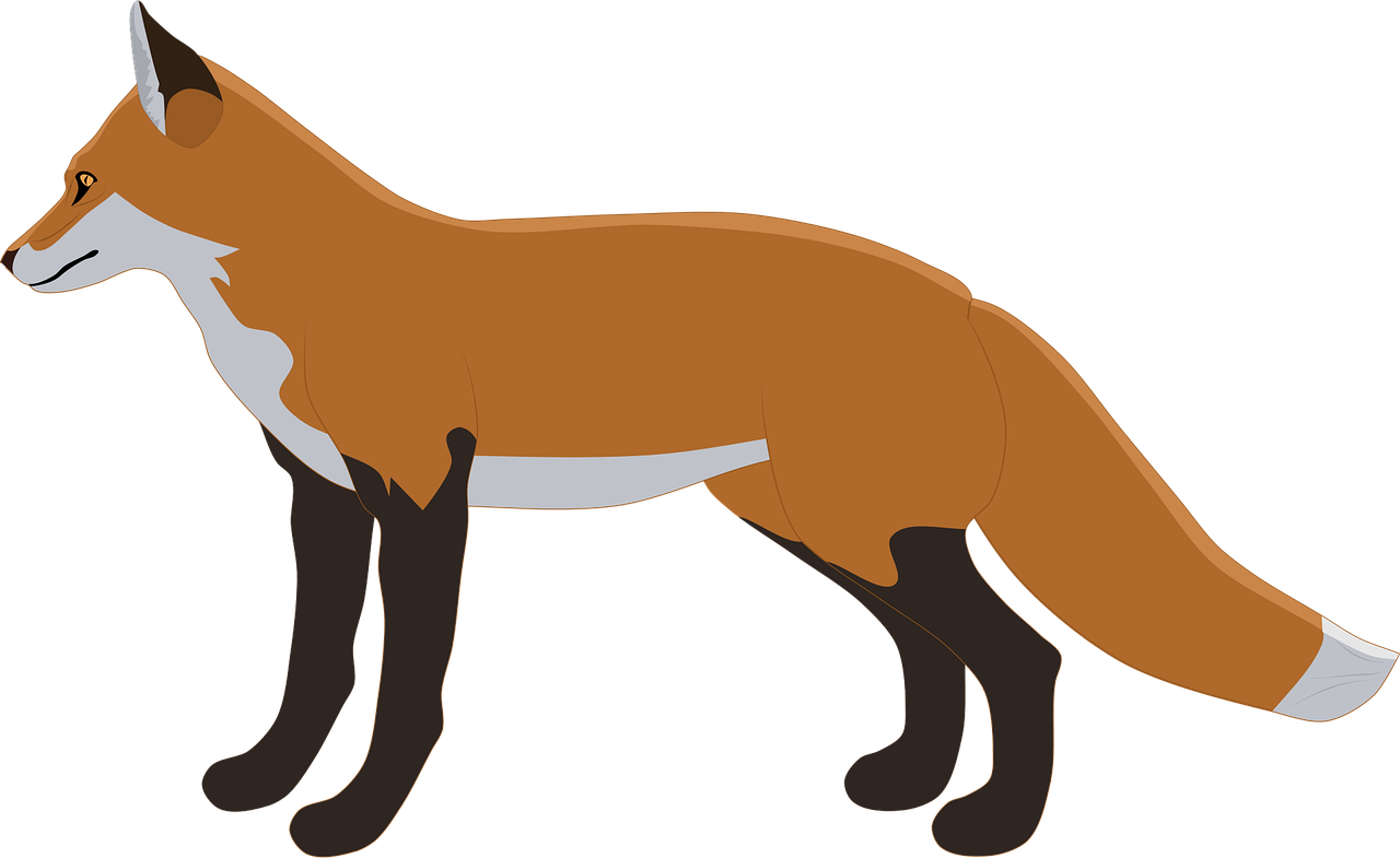 Fox Red fox Wild Stickdatei – Tiere