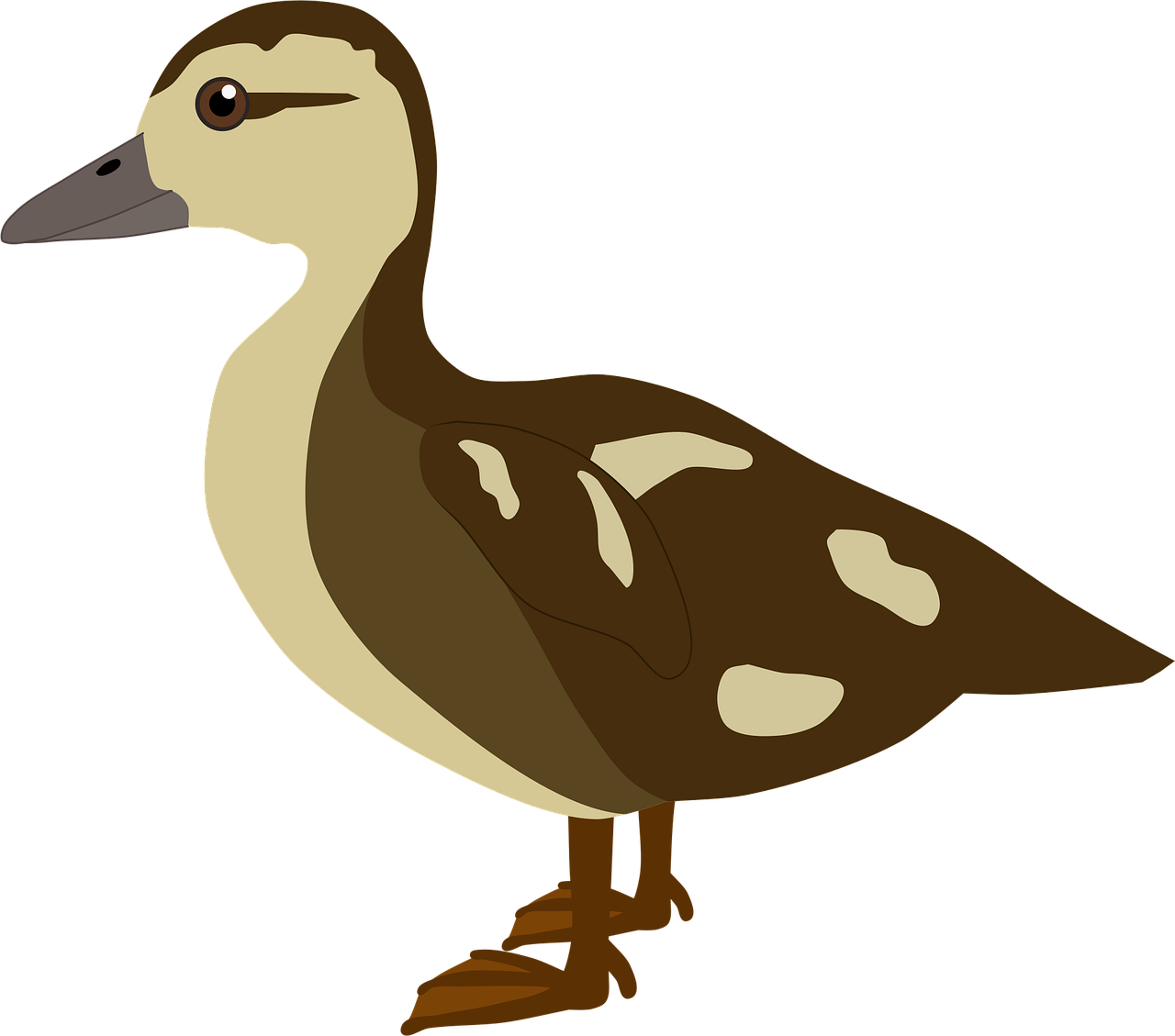 Duckling Duck Nature Stickdatei