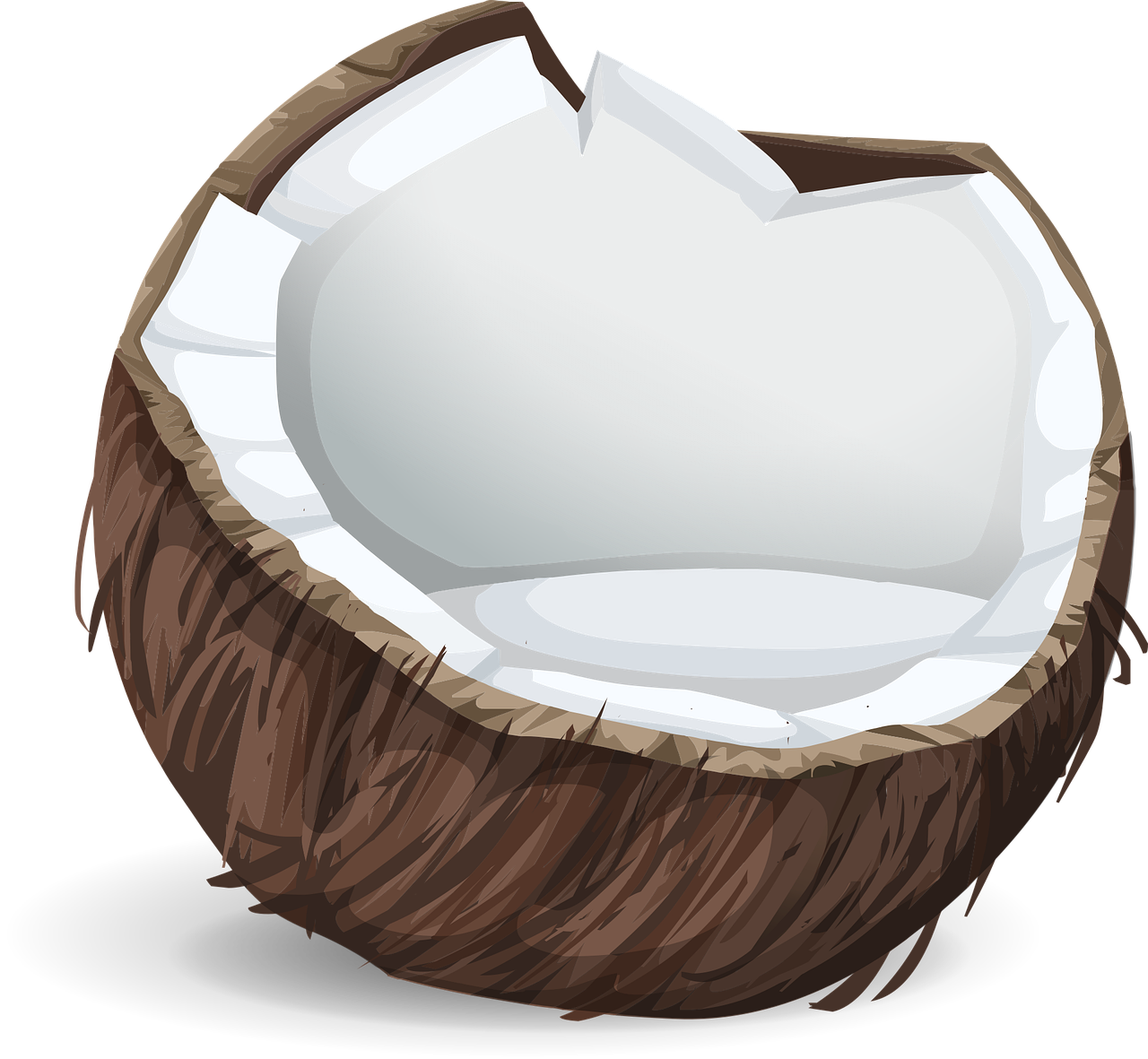 Coconut Icon Fruit