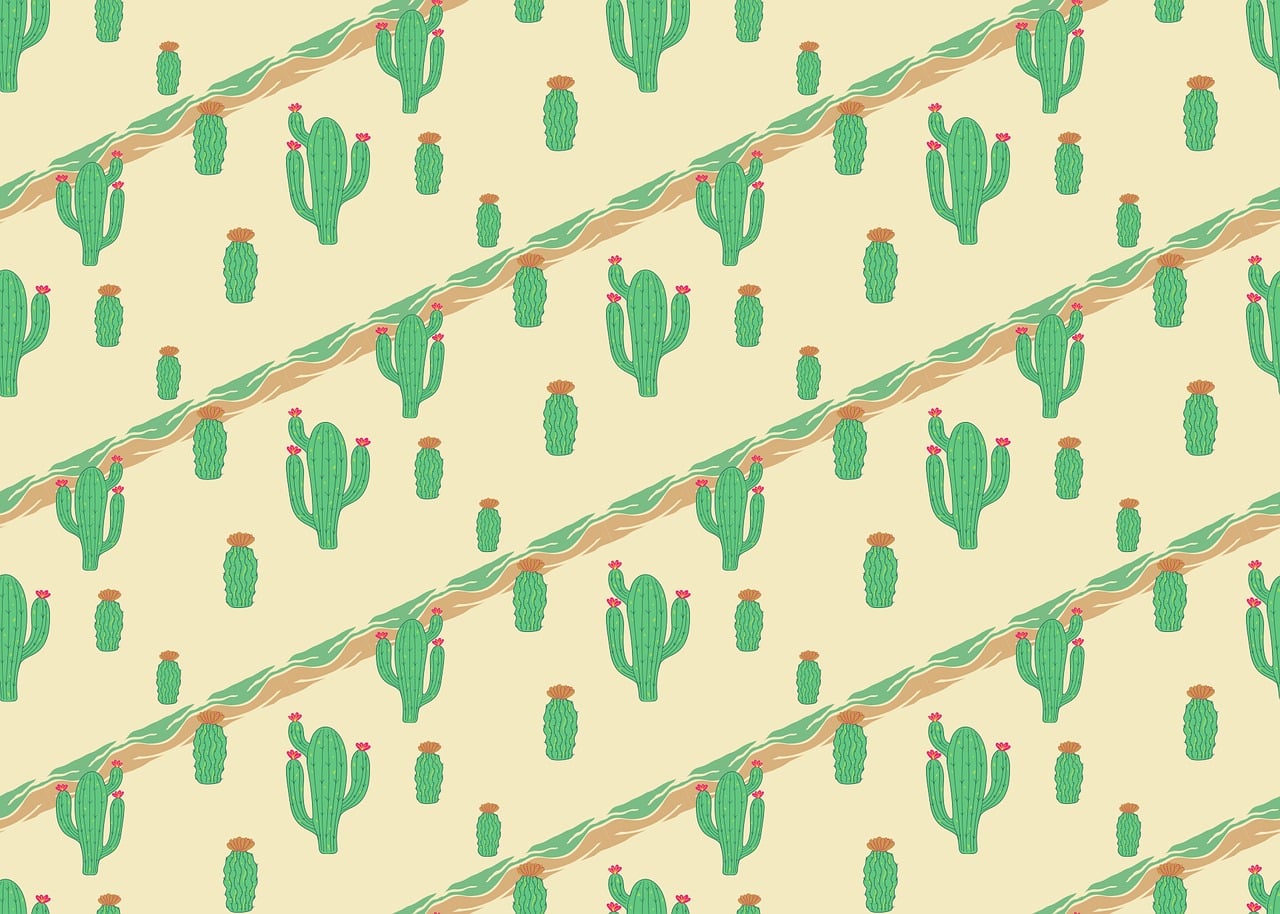Cactus Desert Cacti Stickdatei – Natur