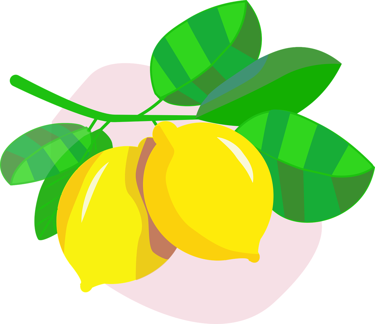 Fruit Lemons Citrus fruit Stickdatei – Essen & Trinken