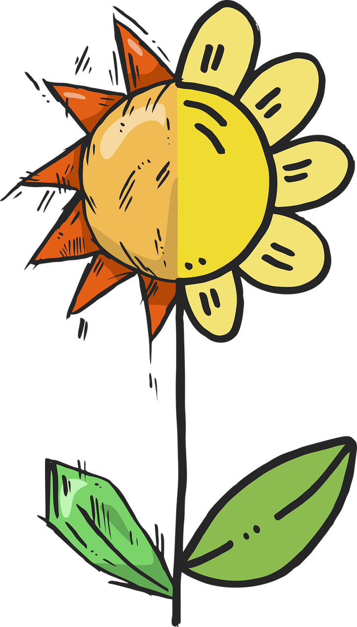 Flower Sunflower Nature