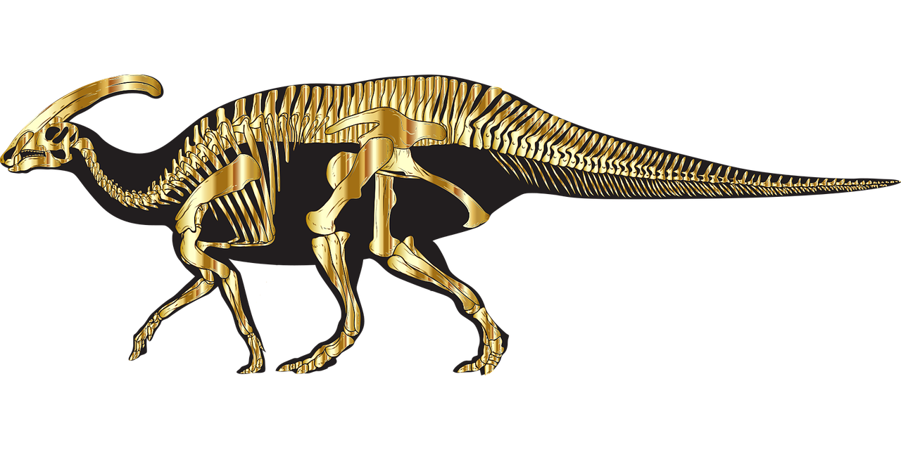 Dinosaur Dinosaur skeleton Fossil