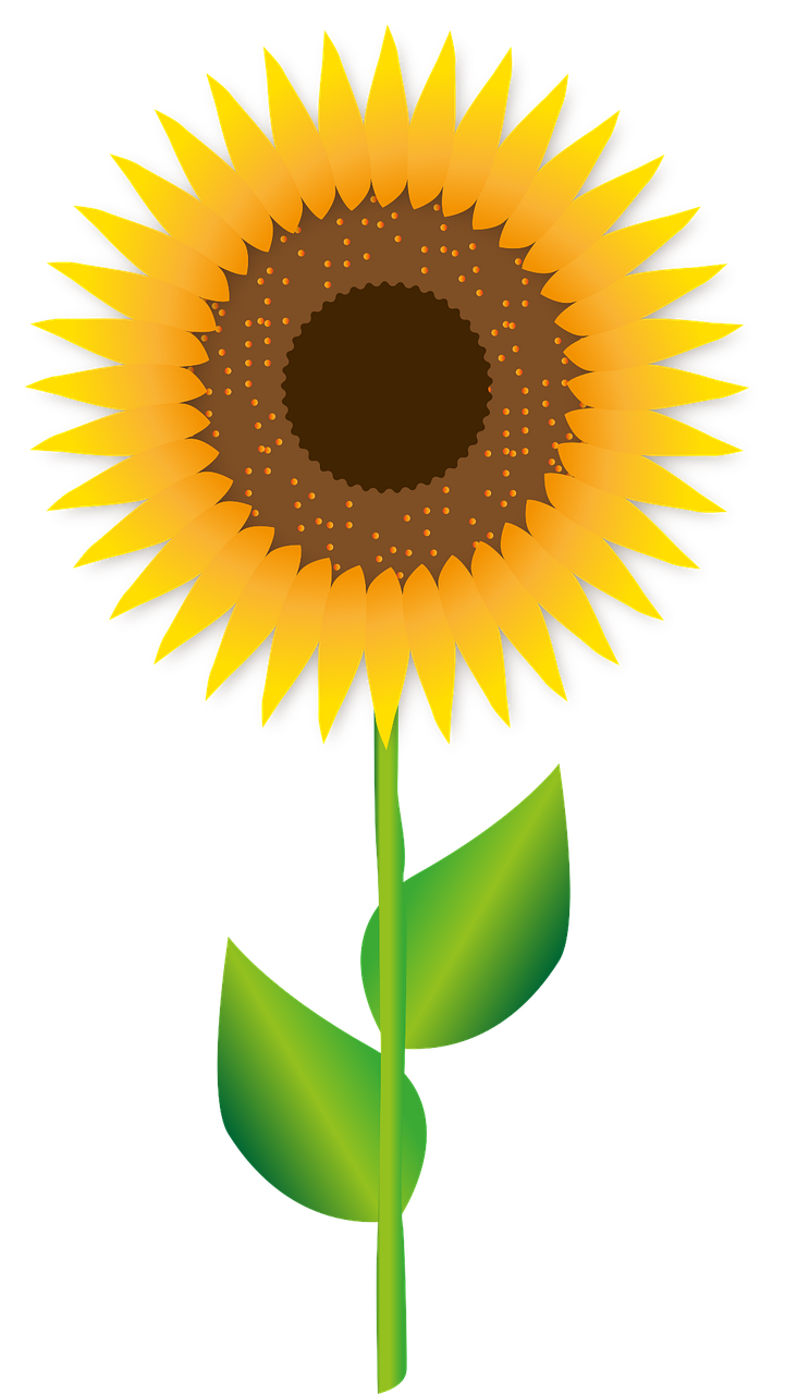 Sunflower Flower Blossom Stickdatei
