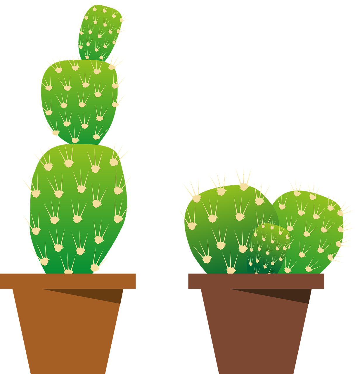 Plants Cactus Nature