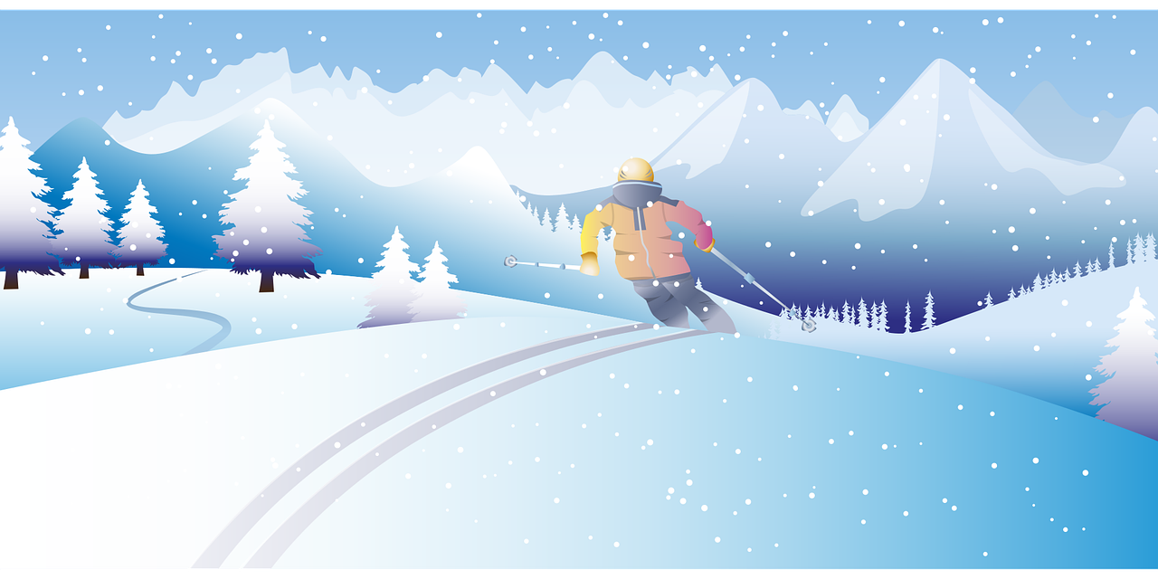 Winter Adventure Skier