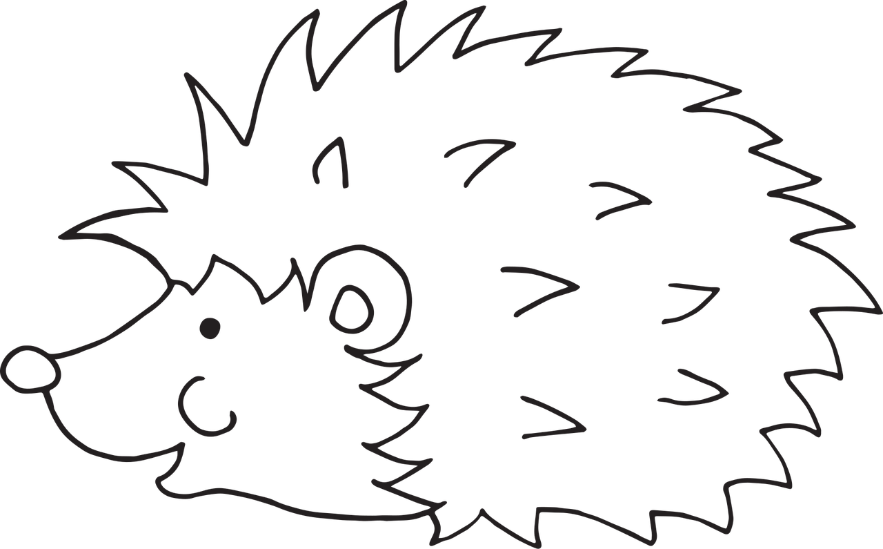 Hedgehog Cartoon Animal