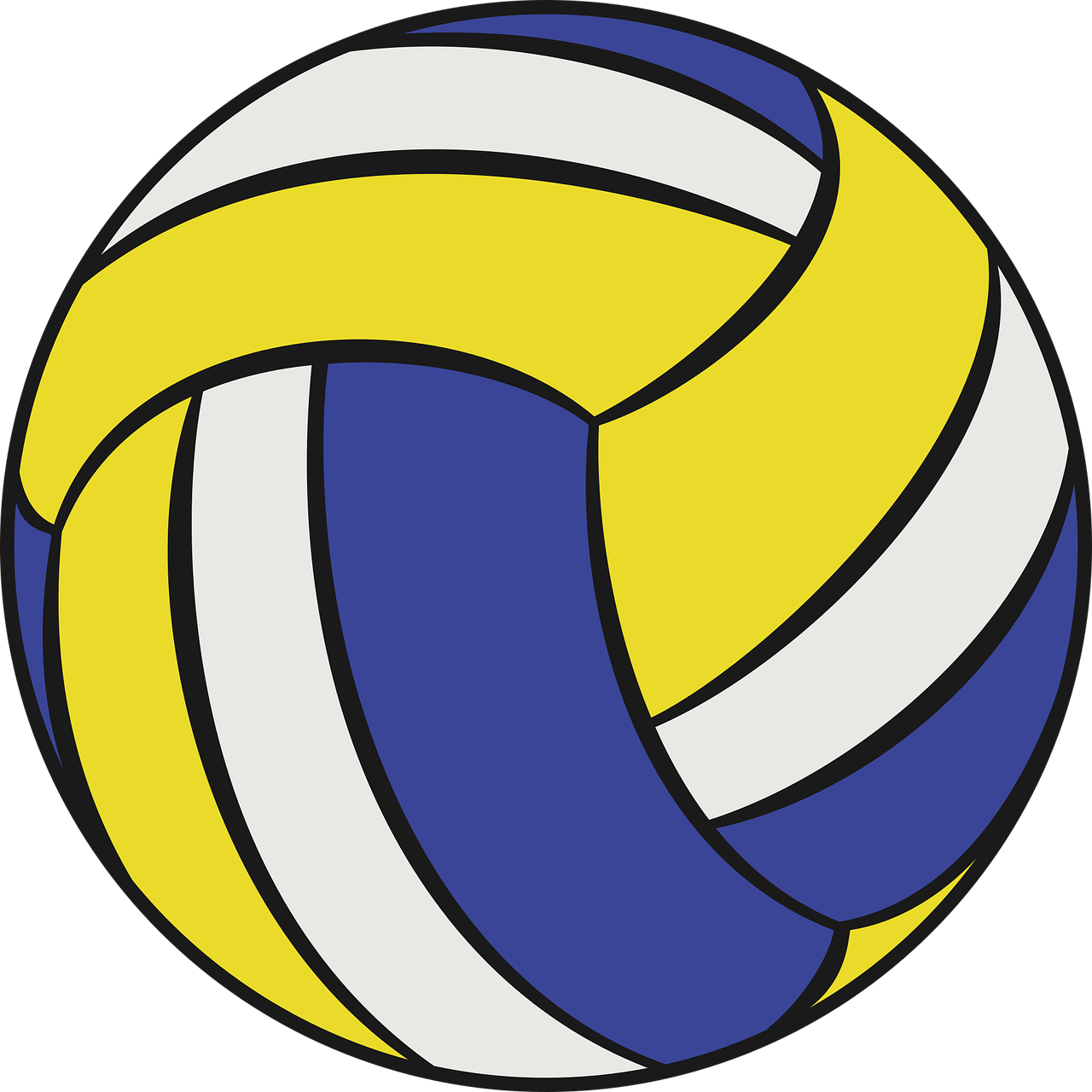 Volleyball Ball Sport