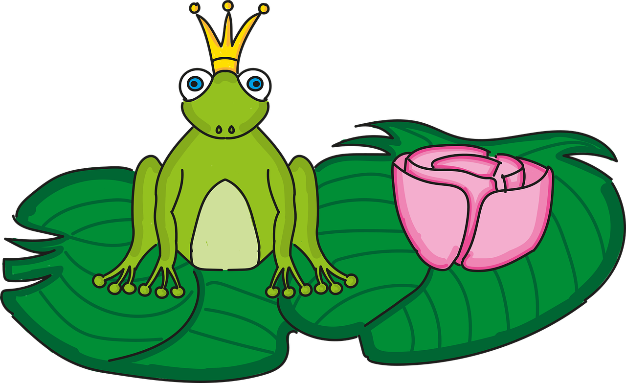 Frog Prince Water lily
