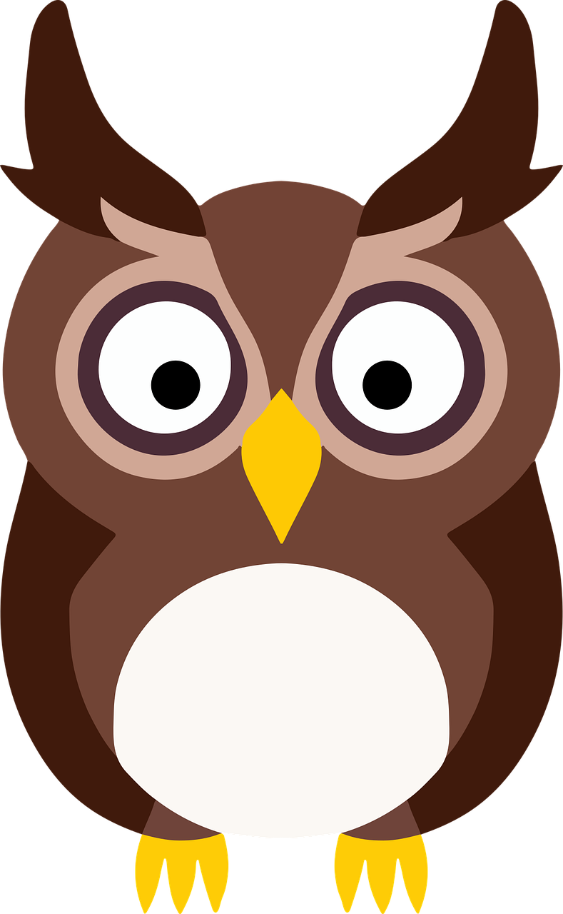 Owl Bird Cartoon owl Stickdatei – Tiere