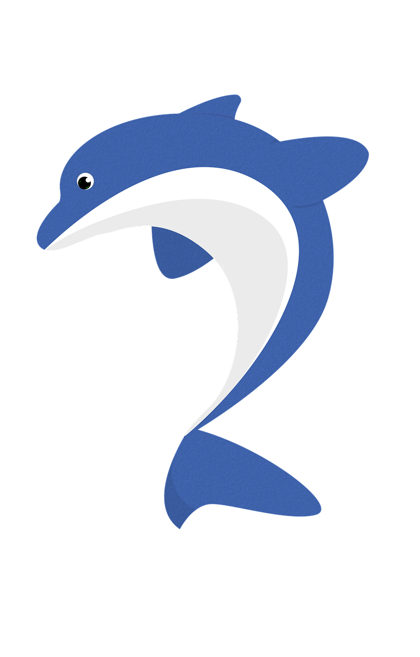 Dolphin Ocean Animal