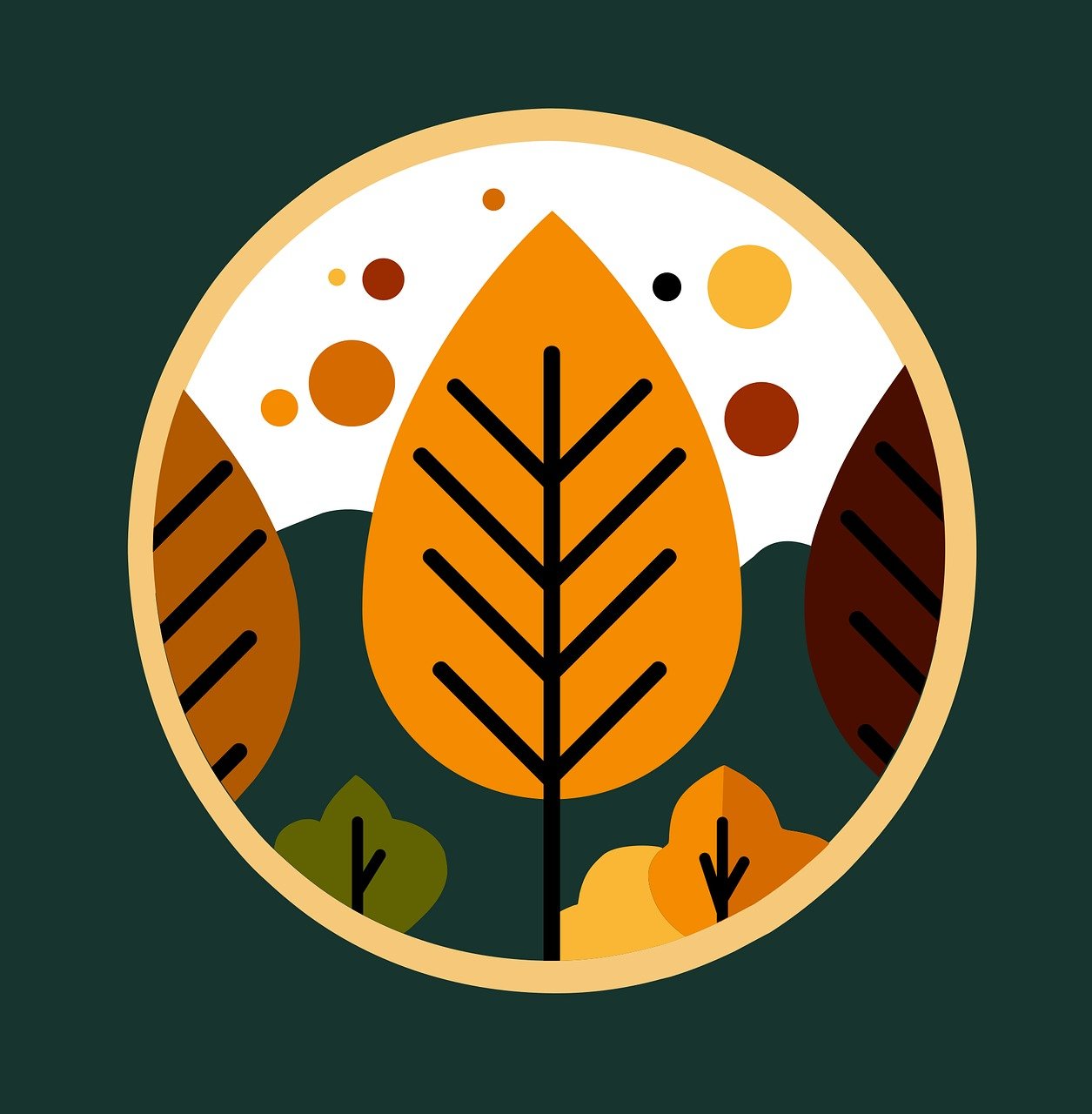 Autumn Forest Nature