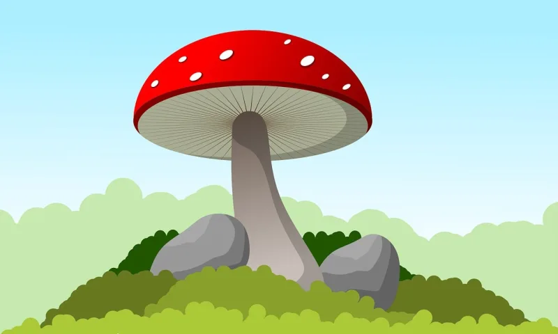 Mushroom Nature Moss Stickdatei – Natur